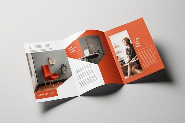Tri Fold Brochure